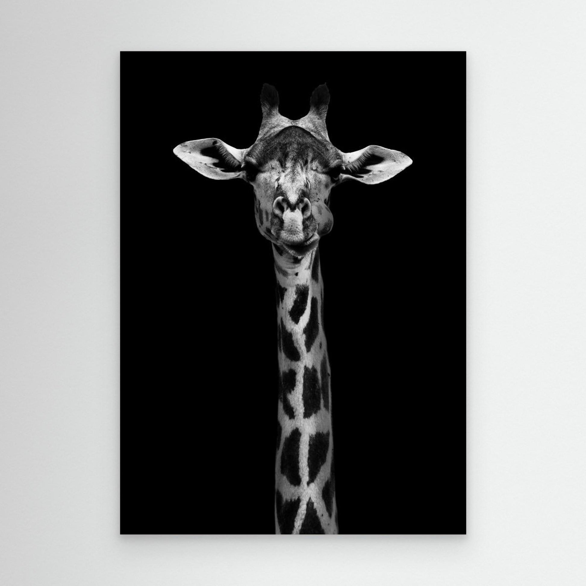 Giraffe Portrait by Wild Photo Art